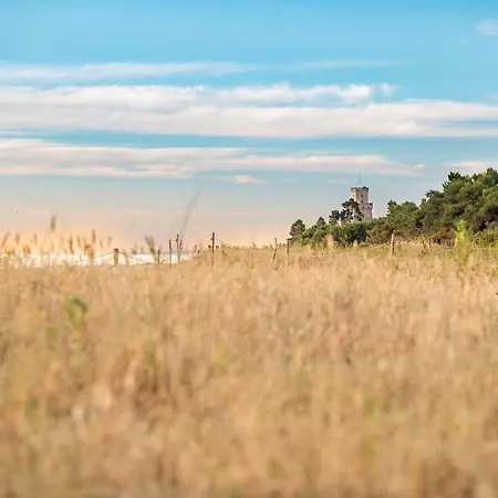 Apartment Palazzo Del Mare Int8 Silvi